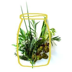 Mitte stärken - Essen gegen herbstliche Verkühlungen dojo_home4_verdauung