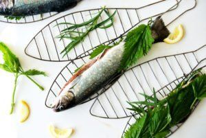 foodblog, fit essen, TCM Rezepte, Fisch, Grillen, besser essen