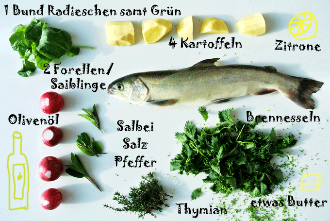 foodblog, fit essen, TCM Rezepte, Fisch, Grillen, besser essen