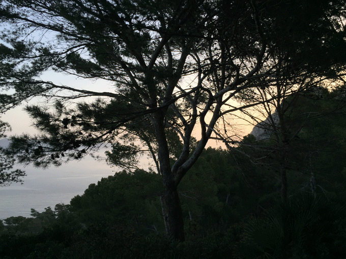 foodblog, fit essen, TCM Rezepte, besser essen, einfach Gemüse, glutenfrei, Zeit