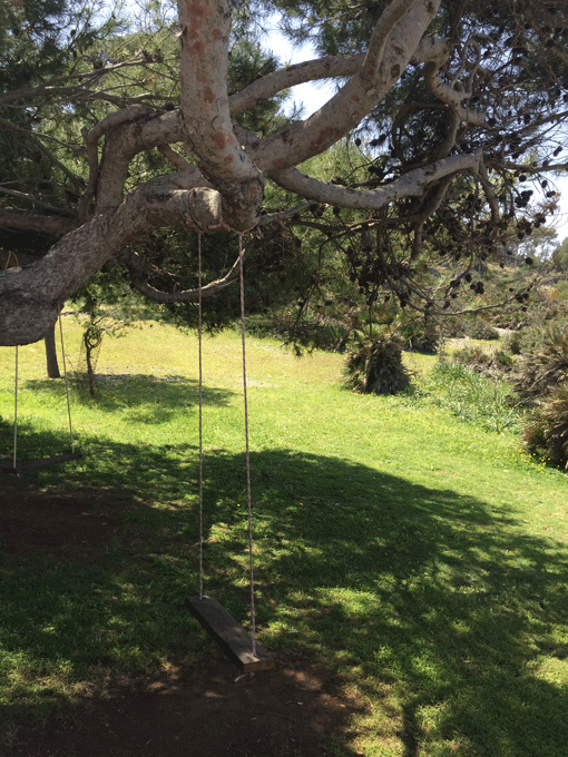 foodblog, fit essen, TCM Rezepte, besser essen, einfach Gemüse, glutenfrei, Zeit