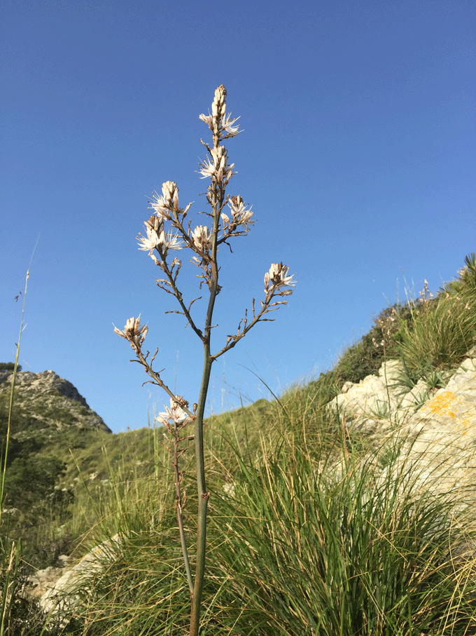 foodblog, fit essen, TCM Rezepte, besser essen, einfach Gemüse, glutenfrei, Zeit