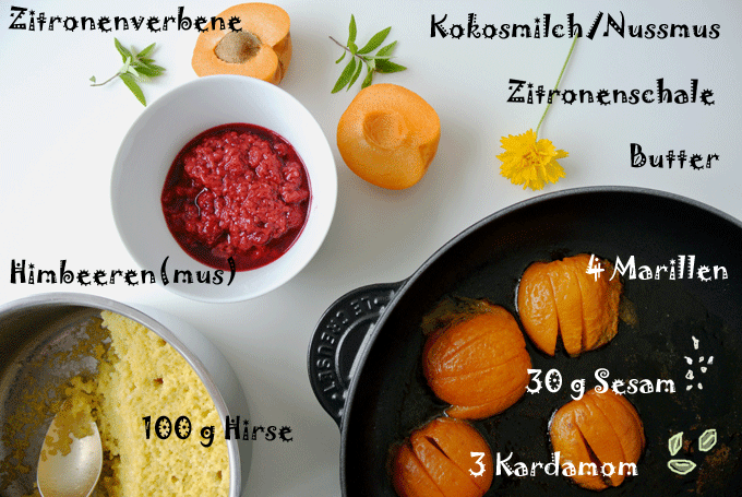 foodblog, fit essen, TCM Rezepte, besser essen, einfach Gemüse, glutenfrei, saisonale Zutaten, Thermik, Marillen, Hirse, Himbeeren